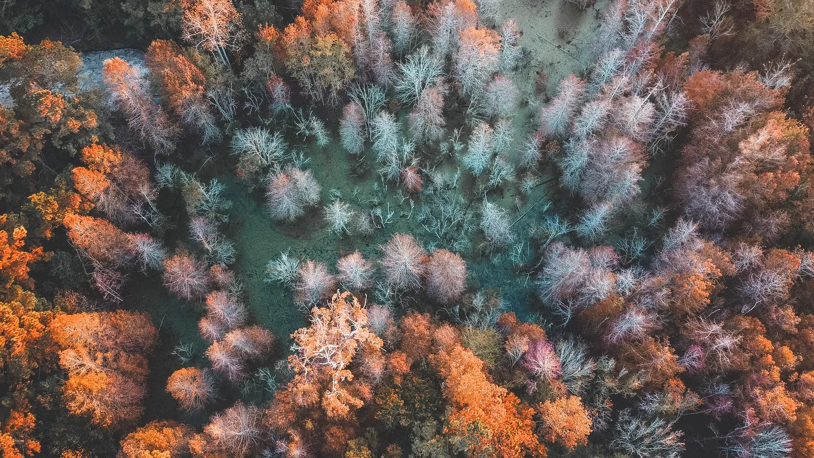 Landscape by Shawn Keding