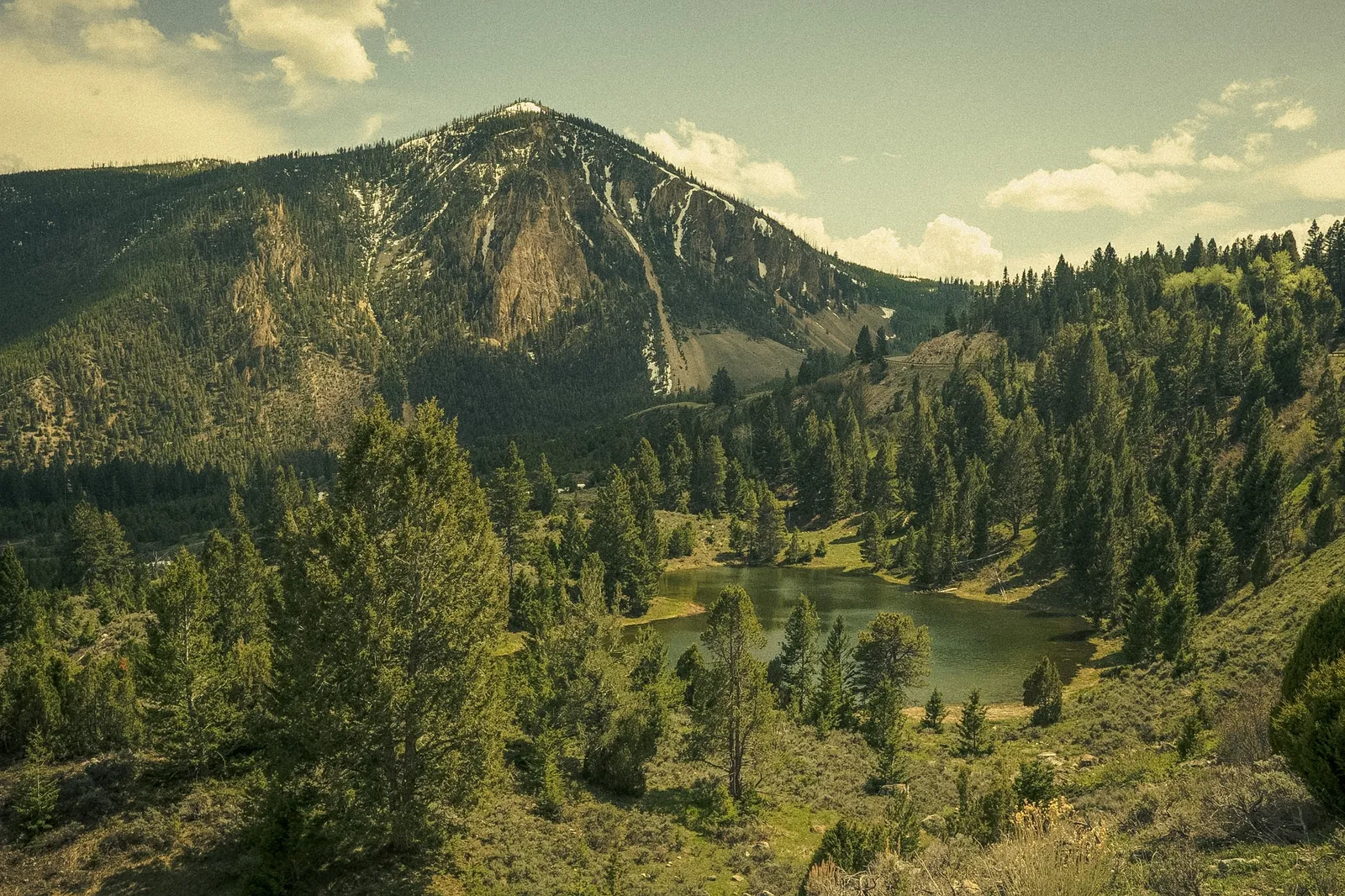 Landscape by Shawn Keding