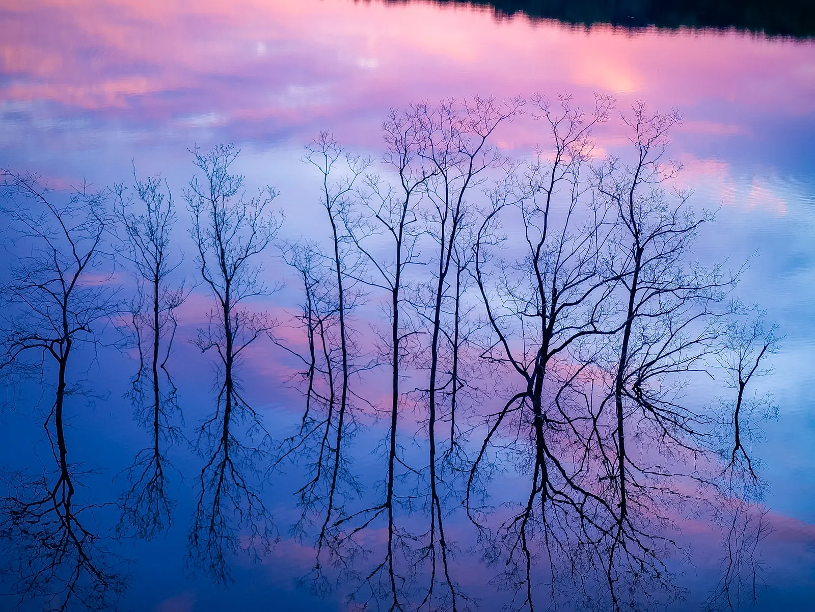 Landscape by Shawn Keding